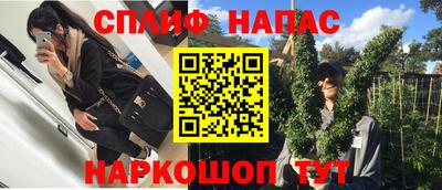 СК Конаково